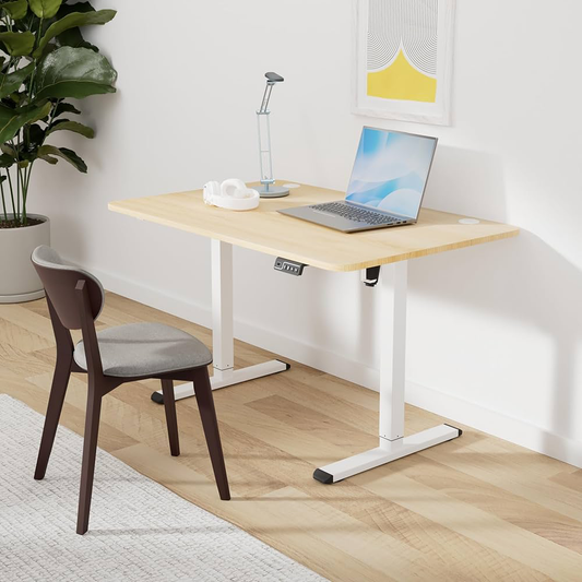 Sit-Stand Desks vs. Fixed Standing Desks: Which One Is Right for You?